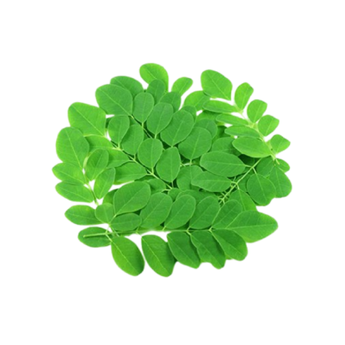 Sproszkowane liście moringa